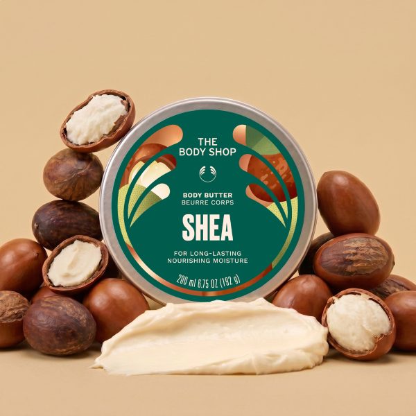 Gjalpë Trupi Shea me gjalpë shea